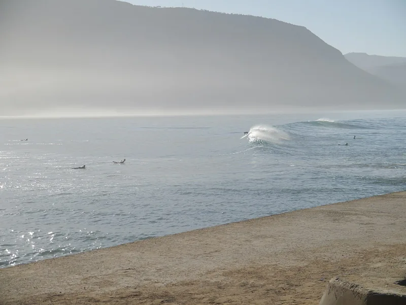 A misty morning in the bay